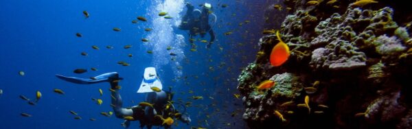 Scuba Diving Charter in  Boyton Beach