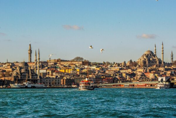 Bosphorus Strait and Black Sea Half-Day Cruise from Istanbul - Image 5